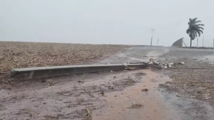 Temporal provoca destruição em áreas rurais do Paraná