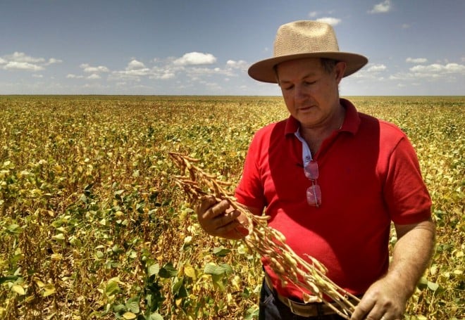 pesquisa, produtor de soja