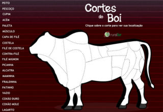 Infográfico: conheça os cortes da carne bovina