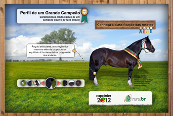 INFOGRÁFICO: entenda o que faz um equino ser o Grande Campeão da Expointer