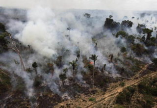 Bancada ruralista insiste em prever anistia a desmatadores no Código Florestal