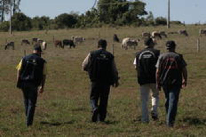 Controle de produto de origem animal ganha rapidez