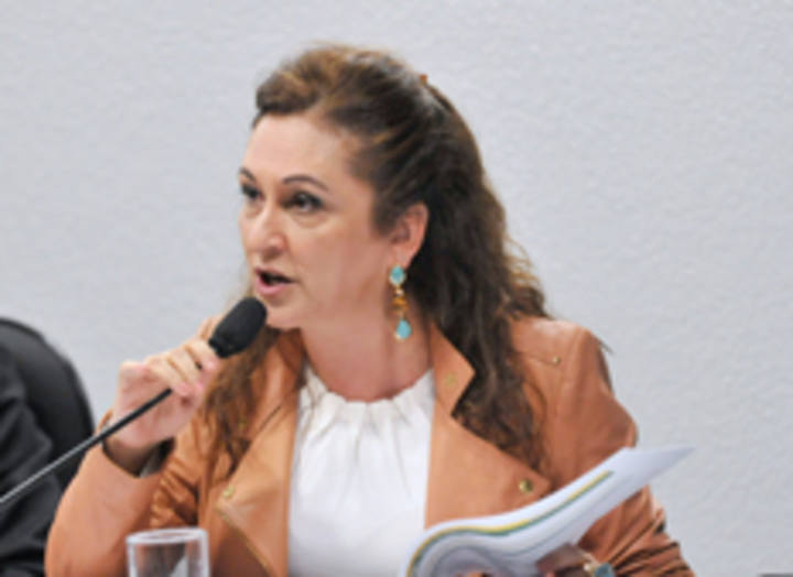 Kátia Abreu diz que votará a favor do relatório de Jorge Viana do Código Florestal