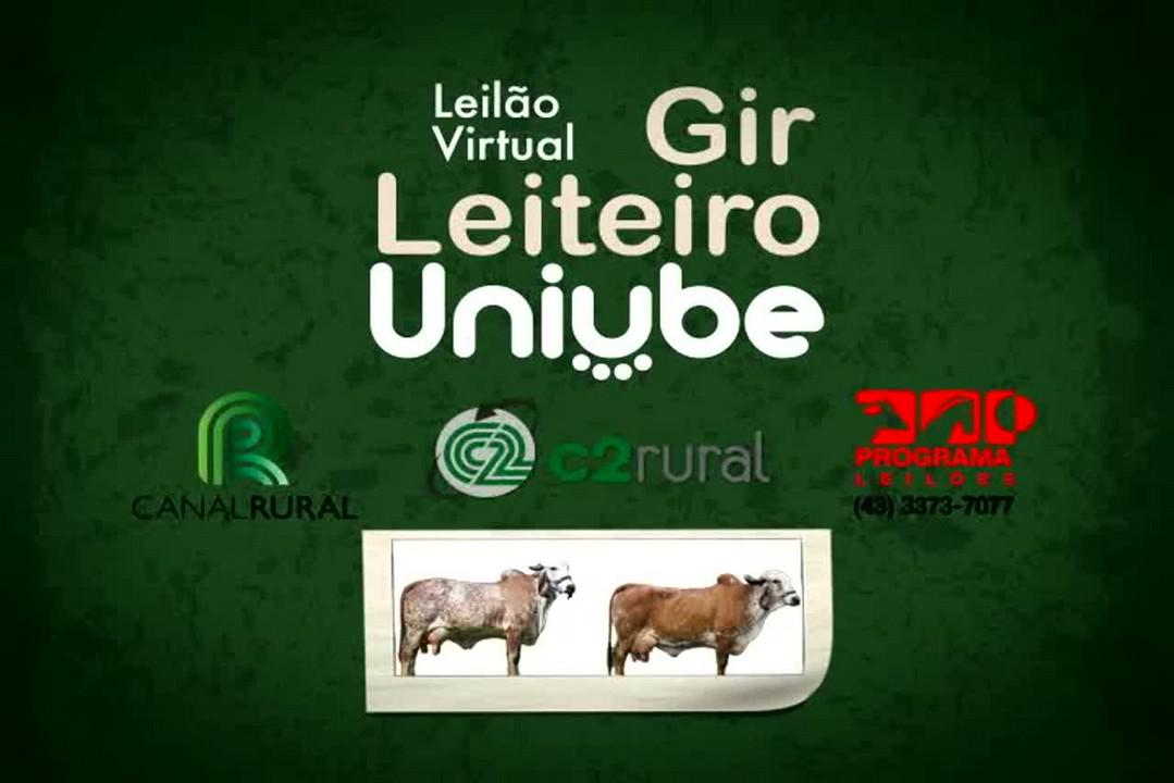 Leilão Virtual Gir Leiteiro Uniube