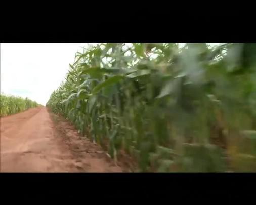 Divulgação Na Estrada 2014 – Programa 4: Ração (Vídeo 1)