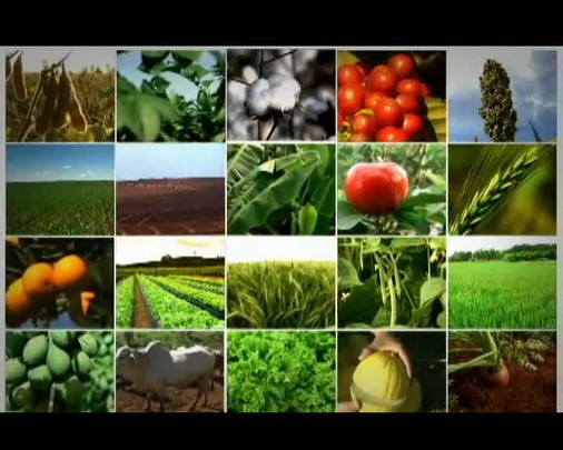 Tecnologia em Campo traz resultados da agricultura de precisão