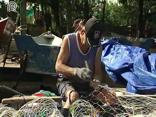 Nota fiscal de pescados tem novas exigências