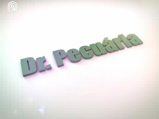 Dr. Pecuária: alimentação de pintinhos