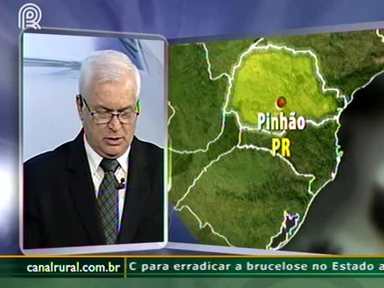 Presidente do Sindicato Rural de Pinhão (PR) fala sobre prejuízos na produção leiteira devido à chuva