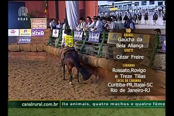 Prova de Mangueira: Gaúcha da Bela Aliança