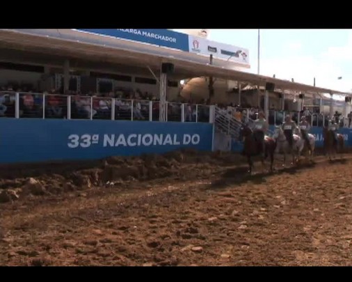 Veja como foi a 33ª Exposição Nacional do Cavalo Mangalarga Marchador