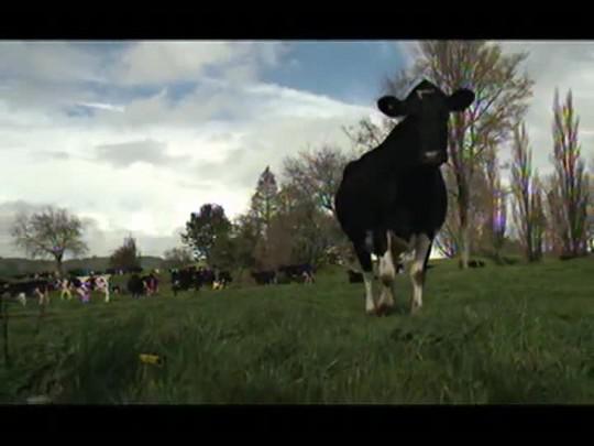 Via Láctea na Nova Zelândia: sustentabilidade na produção leiteira