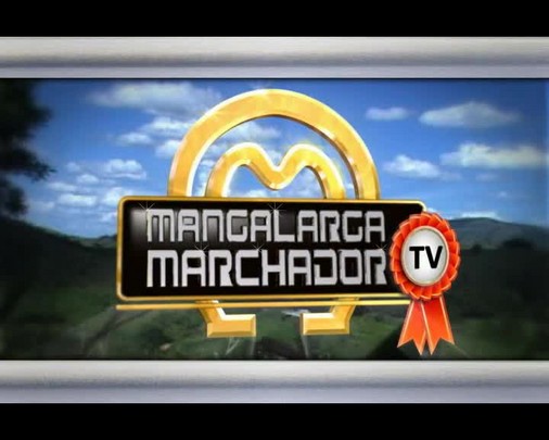 Mangalarga Marchador TV deste domingo, dia 11, mostra o Haras da Borracha em Ipatinga - MG