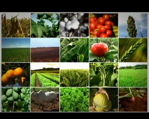 Tecnologia do Campo apresenta agricultura de precisão especial para citricultura