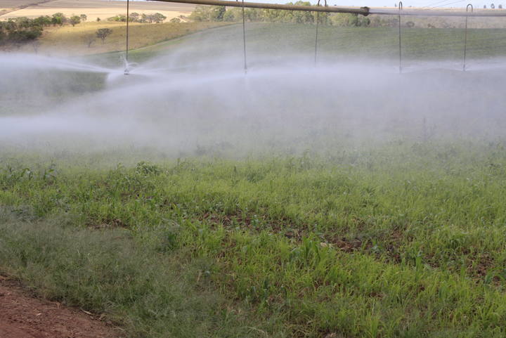 Burocracia e falta de energia elétrica emperram desenvolvimento de irrigação no Brasil