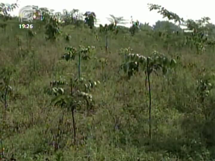 Formulário do Cadastro Ambiental Rural estará disponível na internet a partir de maio