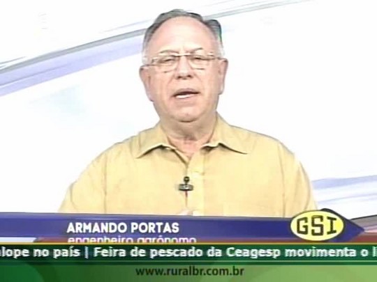 Consultor GSI destaca armazenagem como saída para fila nos portos