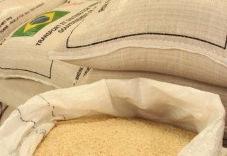 Conab vende 5,5 mil toneladas de arroz armazenado no Sul