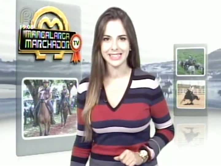 Mangalarga Marchador TV mostra participação da raça em festivais no exterior - Parte 1