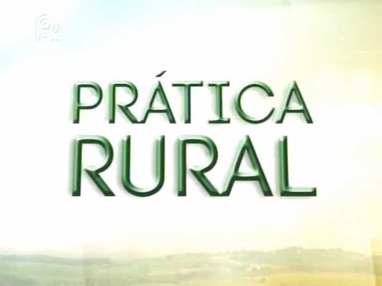 Prática Rural fala sobre melhoramento genético da raça nelore