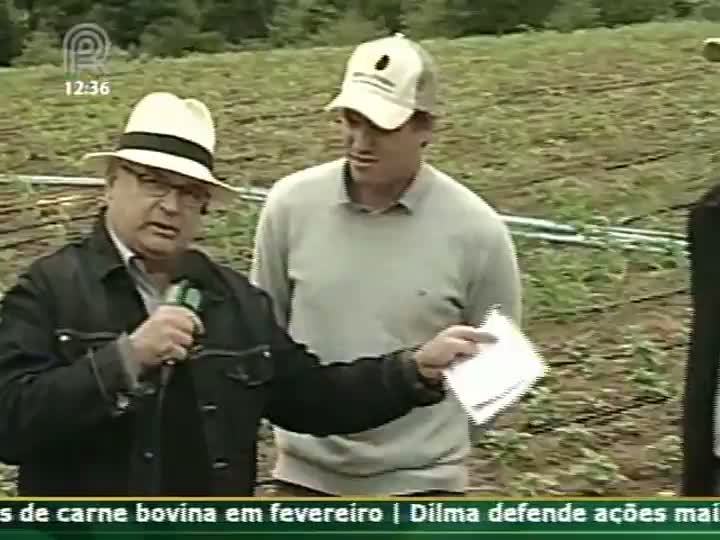 Gerente da Souza Cruz fala sobre benefícios da rotação de culturas em áreas de produção de tabaco