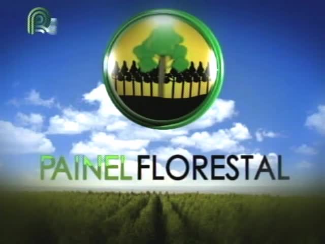 Painel Florestal fala sobre tecnologia no 9º Dia de Campo do Eucalipto