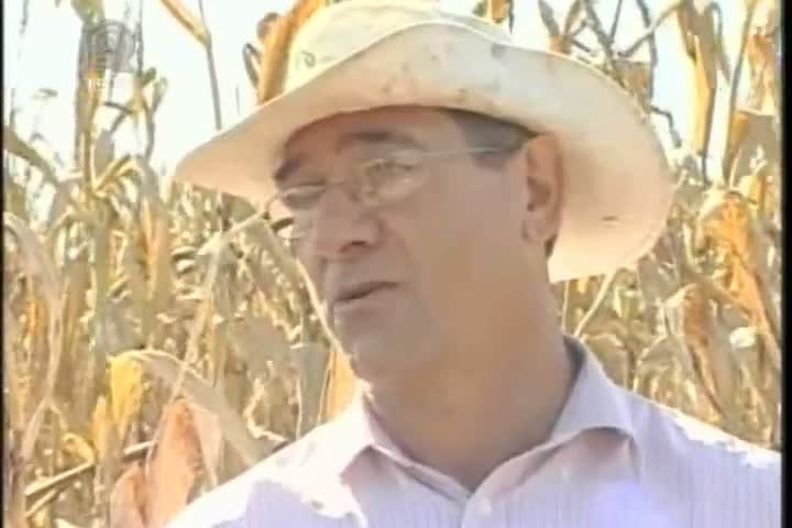 Cooperativas vêm ajudando produtores a aumentarem lucros e diversificarem as atividades no campo