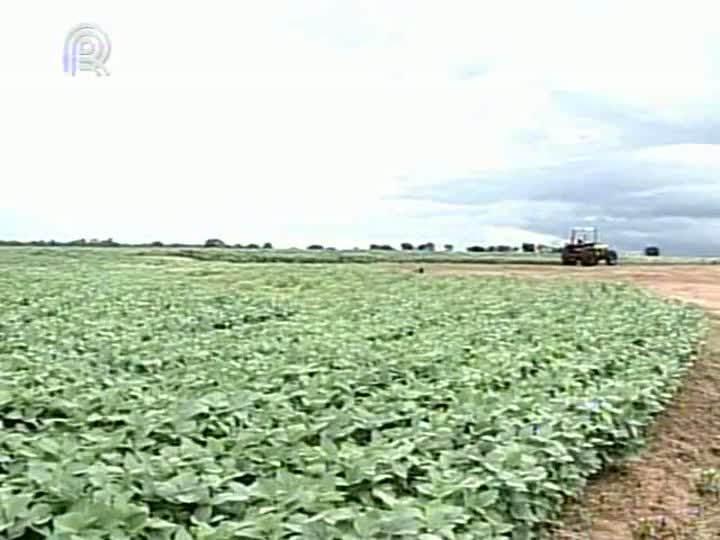 Sindicatos mineiros discutem violência no campo e adaptação do Estado ao novo Código Florestal