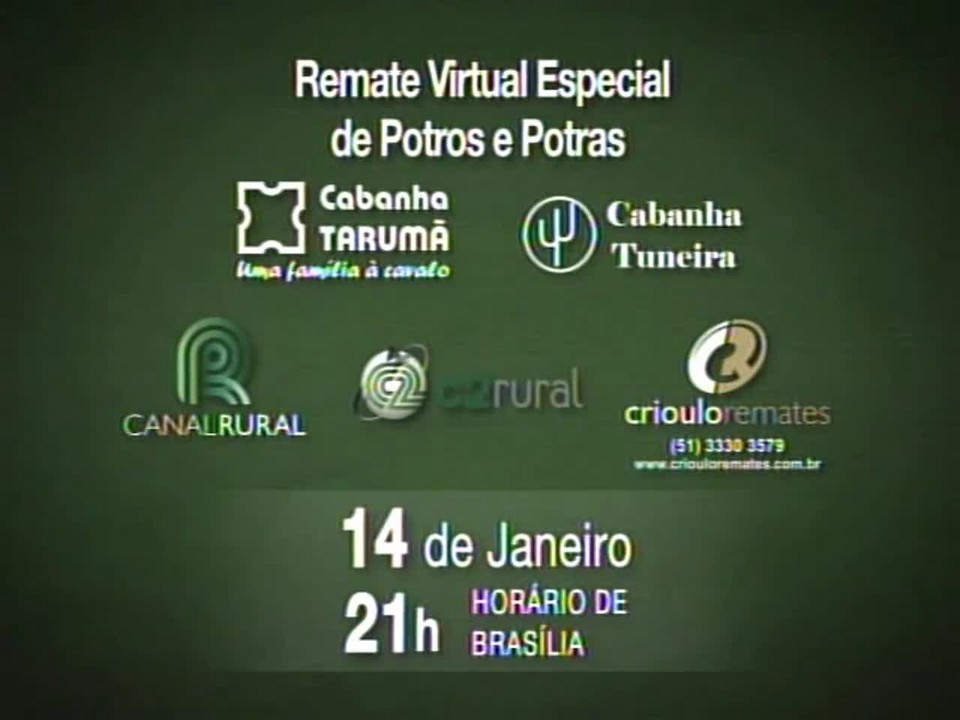 Remate Virtual Especial de Potros e Potras - Cabanha Tarumã e Cabanha Tuneira