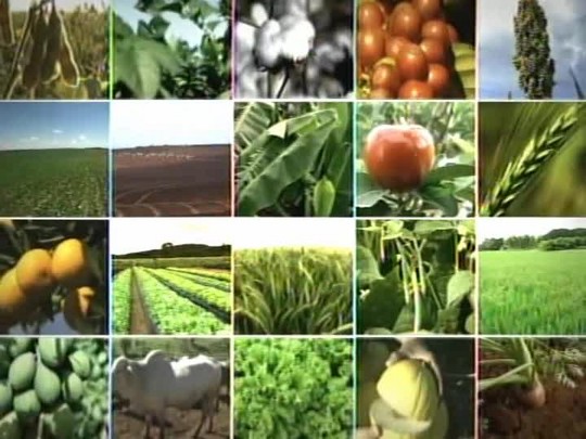 Tecnologia do Campo mostra como funciona o Programa Mais Alimentos