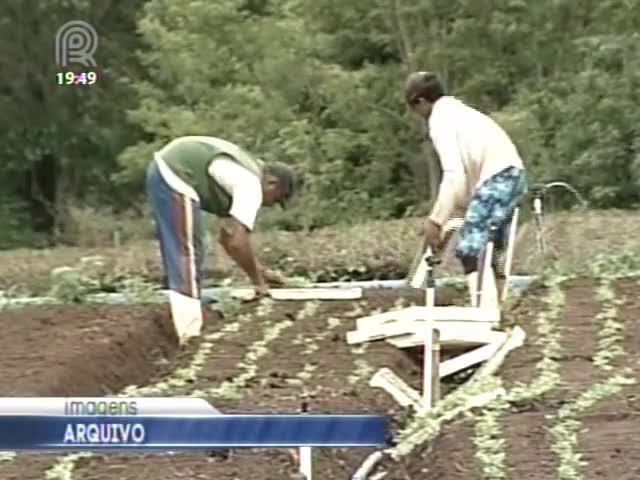 Produtos orgânicos de Brasília recebem certificado de conformidade