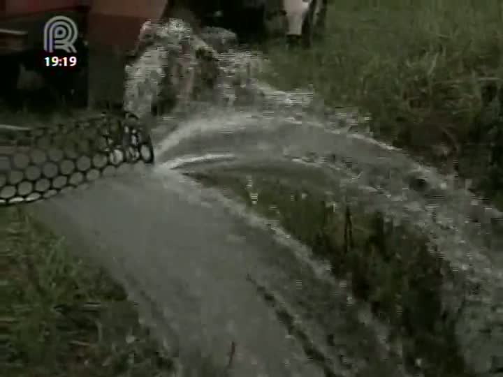 Fortes chuvas no Rio Grande do Sul não foram suficientes para aliviar os danos da estiagem