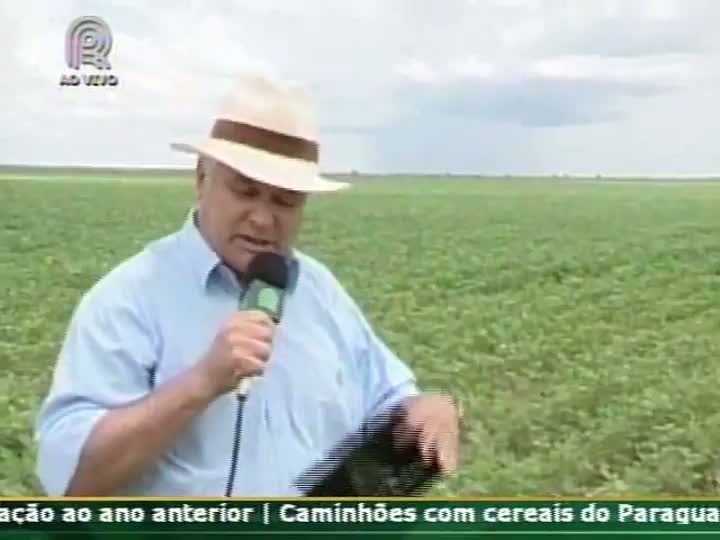 Produtor rural fala sobre a falta de chuvas no oeste da Bahia