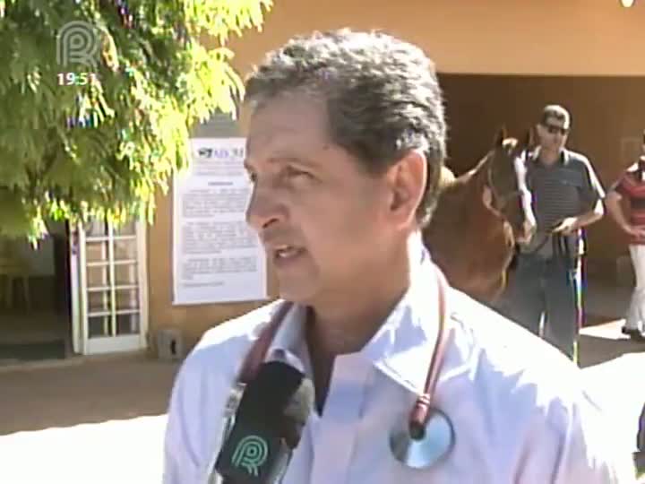 Regras e juízes garantem bem-estar de animais que participam de congresso da raça Quarto de Milha em Avaré (SP)