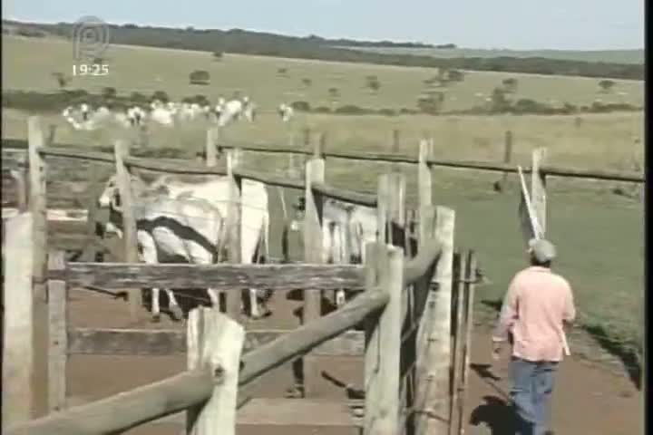 Agrocurso mostrará técnicas de manejo racional para pecuária