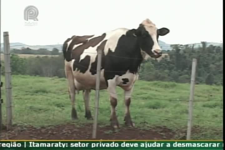 Técnica Rural - Pecuária de Leite - Consultoria para Produtores