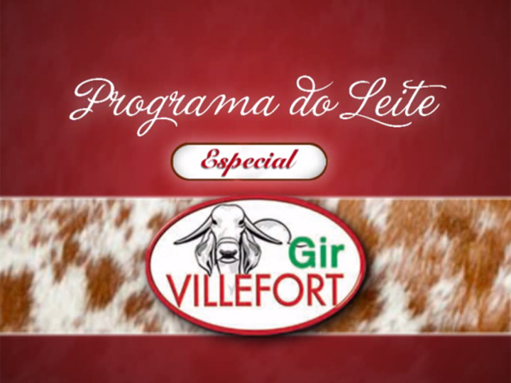 Leilão Virtual Top Leite Gir Villefort