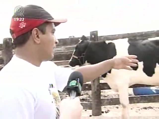 Primeiro bovino clonado no Brasil completa 10 anos