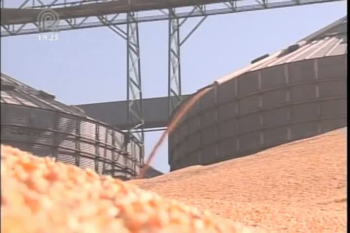 Confira os dados divulgados no relatório USDA para a soja e o milho