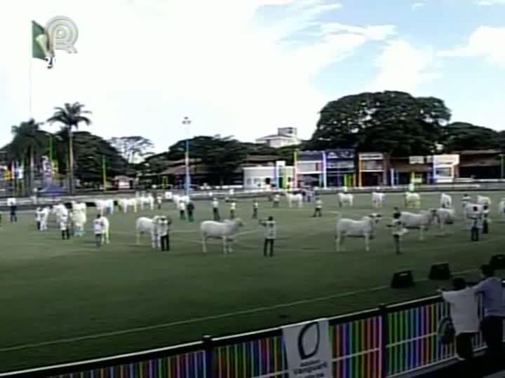 Dois campeonatos foram decididos na Expoinel Minas 2013, em Uberaba (MG)