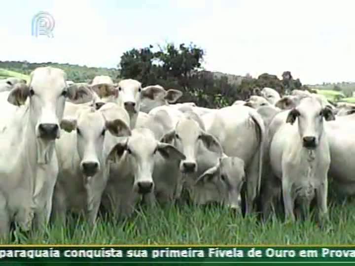 Técnica Rural - Gestão na propriedade