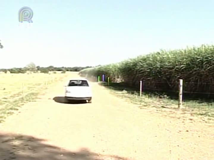 Técnicos da Embrapa desenvolvem pesquisas no continente africano