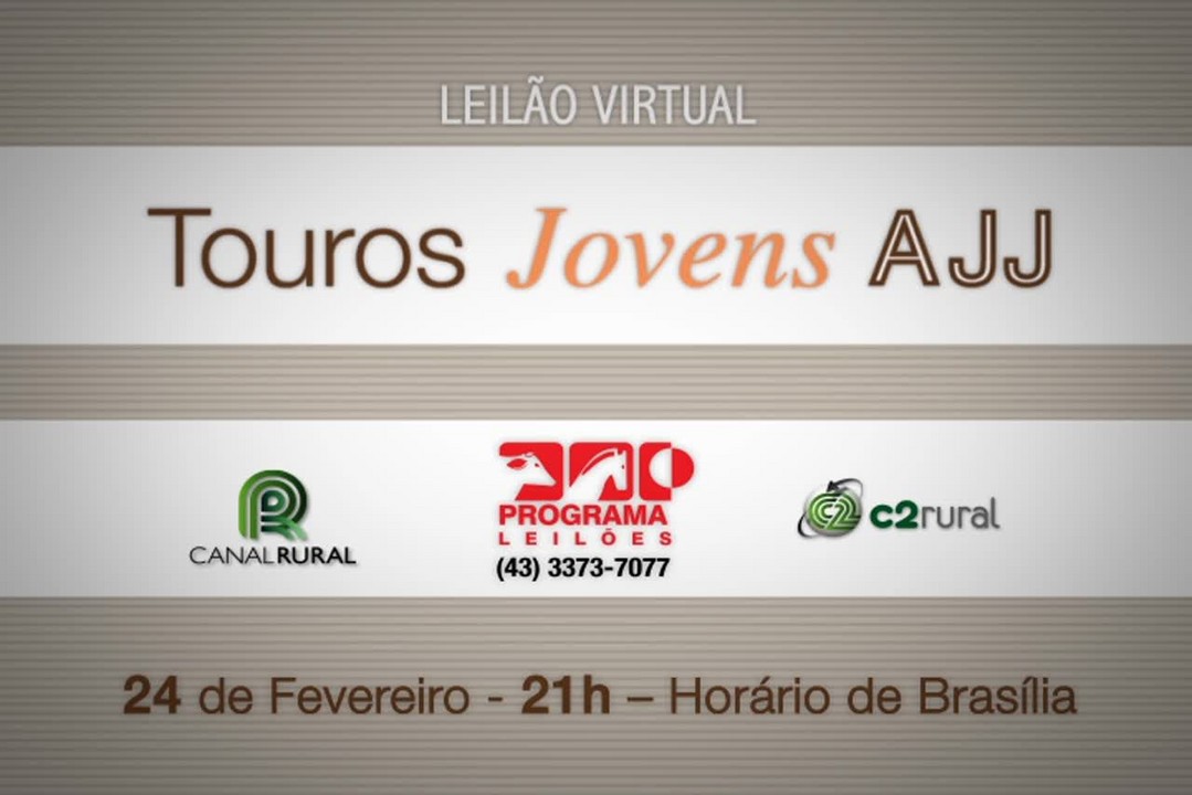 Leilão Touros Jovens AJJ