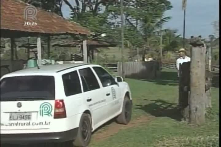 Equipe do Jornal da Pecuária vai até Minas Gerais para conhecer a vaca com um chifre