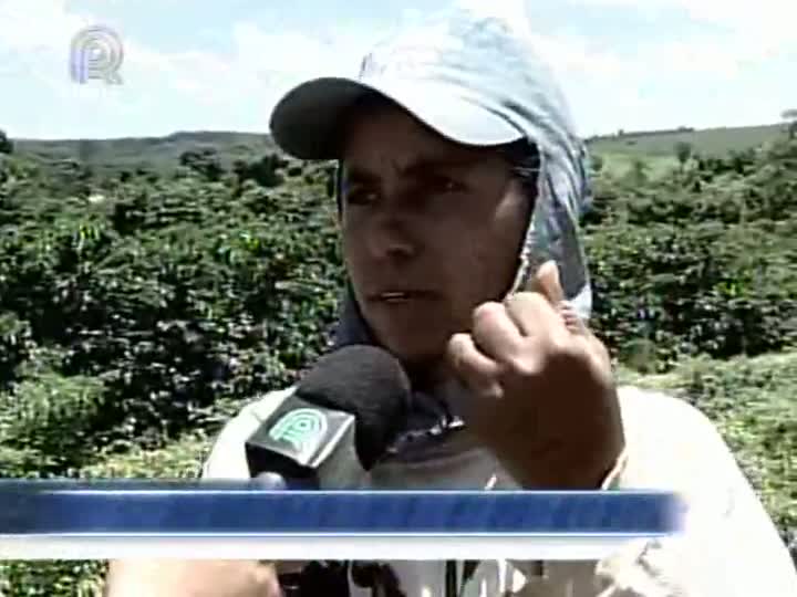 Produção de pimenta garante renda extra a agricultores em Minas Gerais