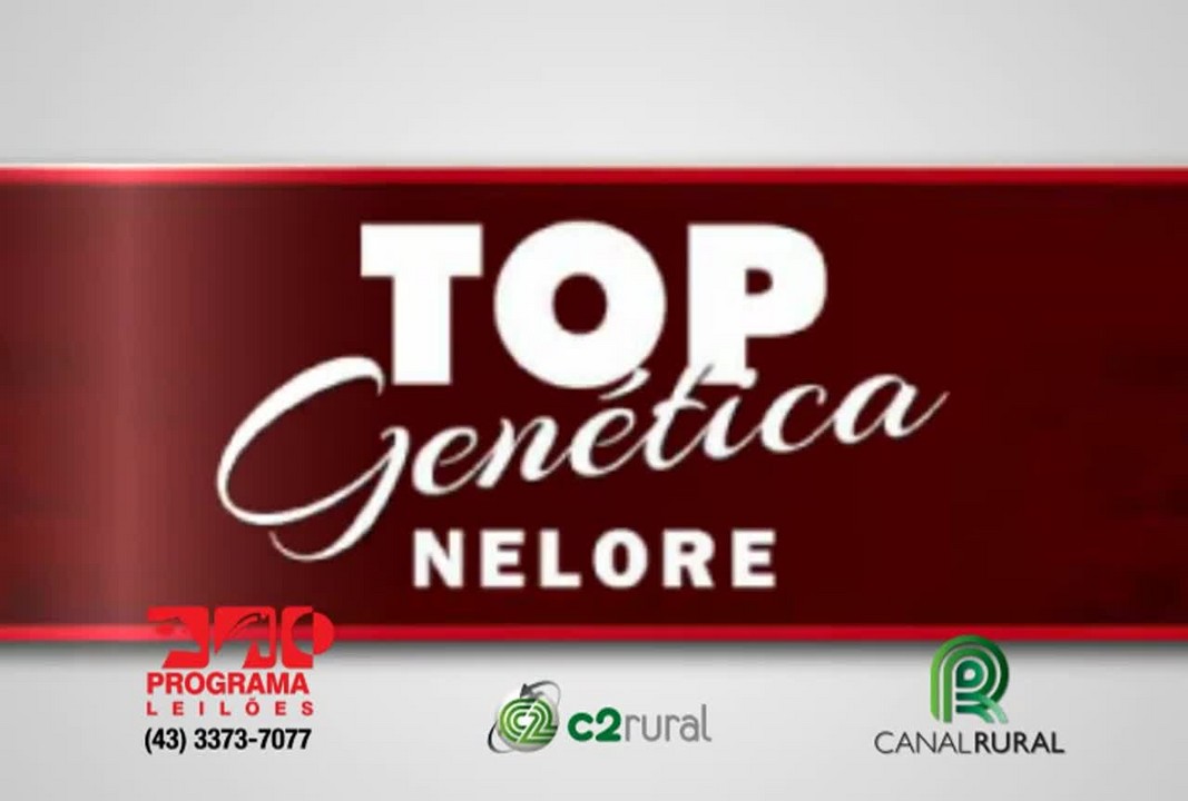 Leilão Virtual Top Genética Nelore