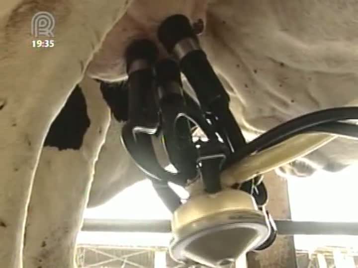 Produção leiteira cresce 3% em 2012 e preço pago ao produtor é o maior em cinco anos