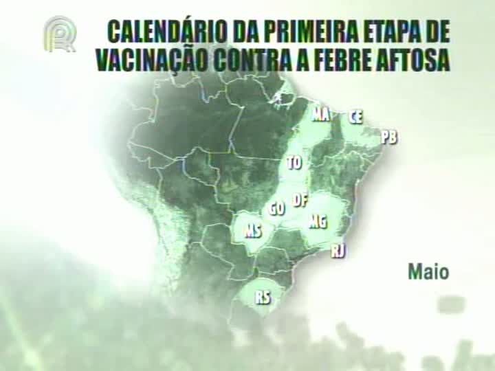 Começa campanha de vacinação contra a febre aftosa