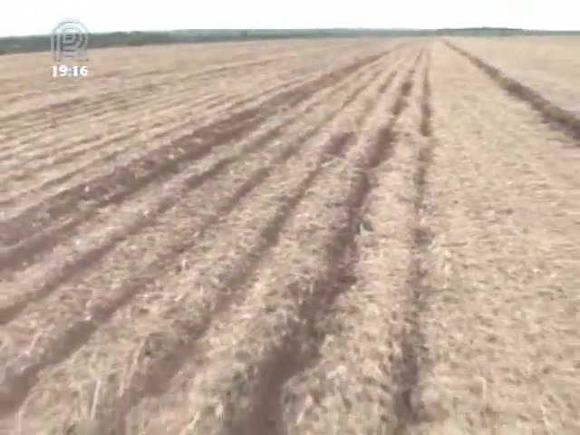 Tempo seco prejudica o avanço do plantio da soja em Mato Grosso