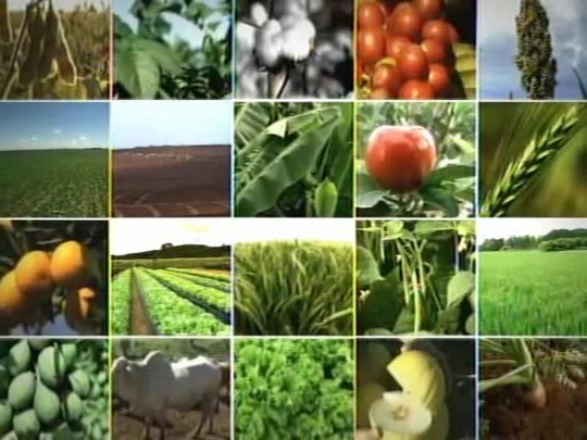 Tecnologia do Campo mostra o uso e os cuidados na cobertura de solo